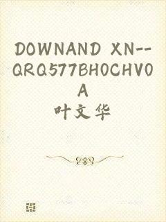 DOWNAND XN--QRQ577BH0CHV0A